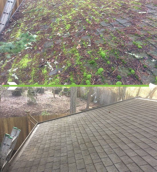 Composite Roof Cleaning